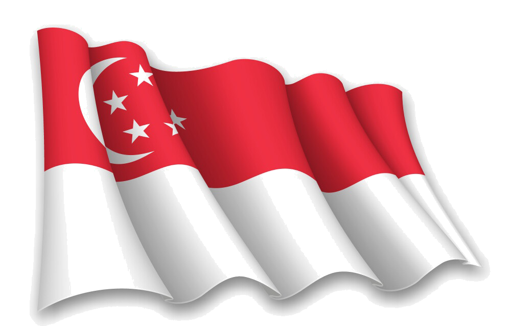 SINGAPORE copy
